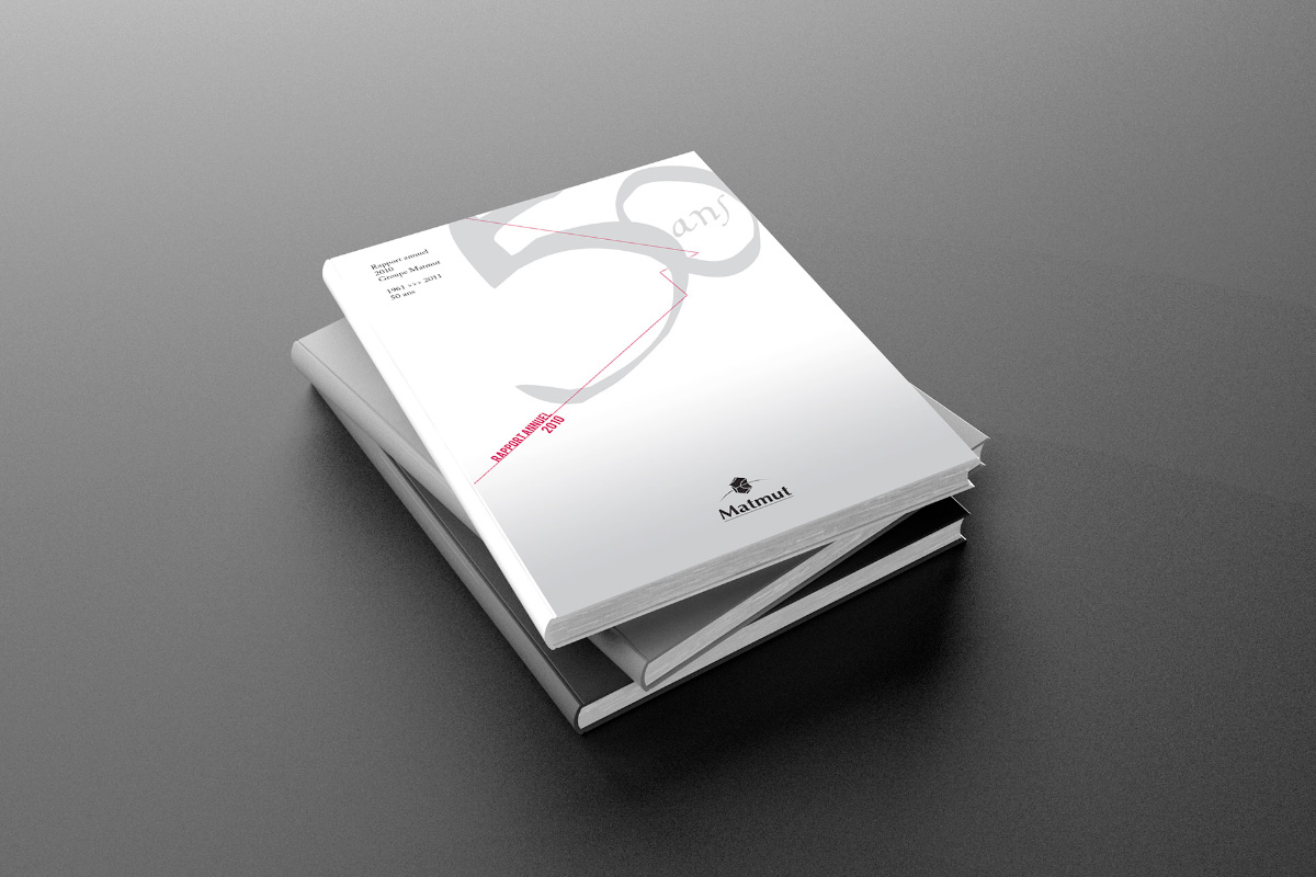 Couverture du Rapport Annuel 2010